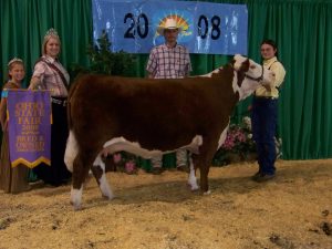 Sara Beth , Reserve Champion Herefors Heifer Ohio State Fair Jr.